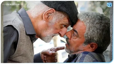 سریال اسباب زحمت